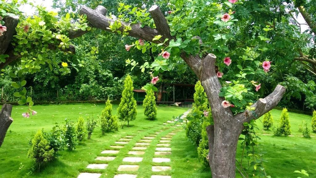 Sparsh Resort & Chalet Kalamb  ภายนอก รูปภาพ